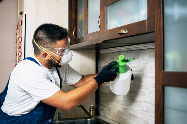 Best Insect Control  in Salem, NJ