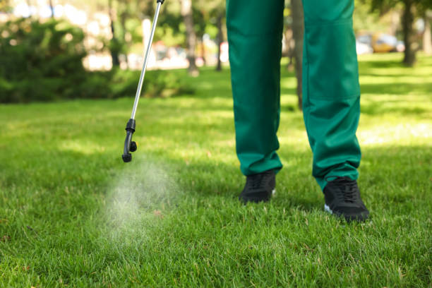 Reliable Salem, NJ Pest Control Solutions