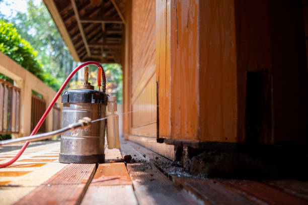 Best Affordable Pest Control Services  in Salem, NJ