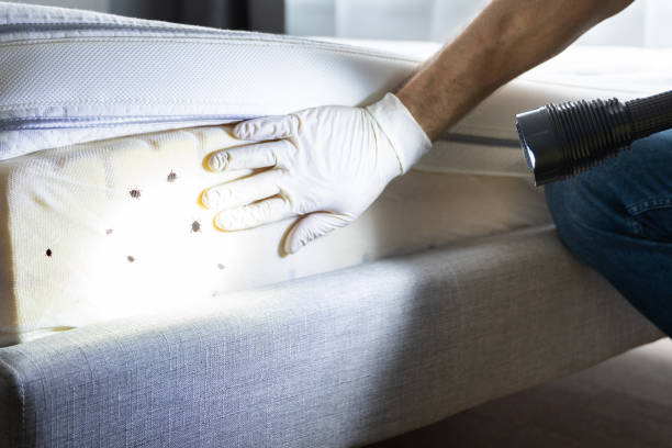 Flea Control Services in Salem, NJ