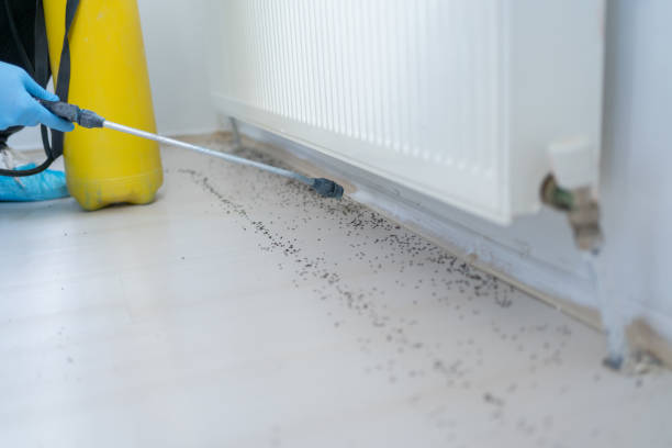 Best Commercial Pest Control Services  in Salem, NJ