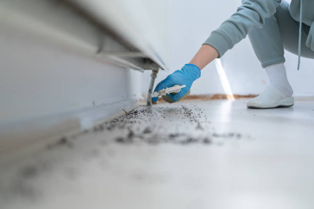 Pest Control for Restaurants in Salem, NJ